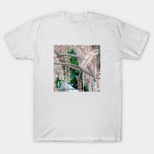 Blossom of the macadamia tree T-Shirt